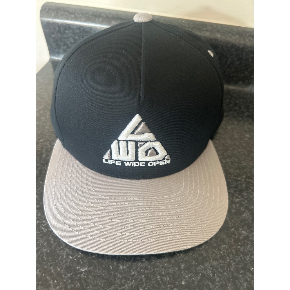 Life Wide Open CBoys TV Snapback Hat Black Grey Flat Brim Kids/Adult LWO